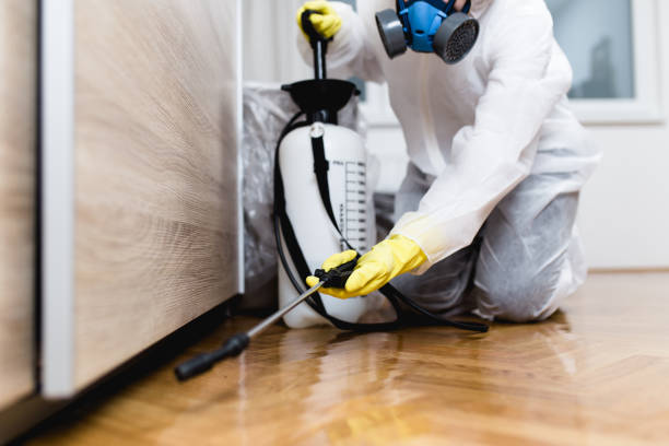 Best Local Pest Control Services  in Heidelberg, PA