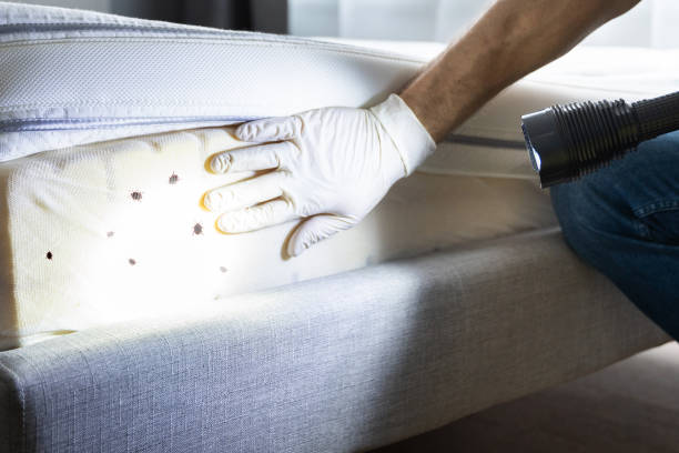 Best Best Pest Control Companies  in Heidelberg, PA