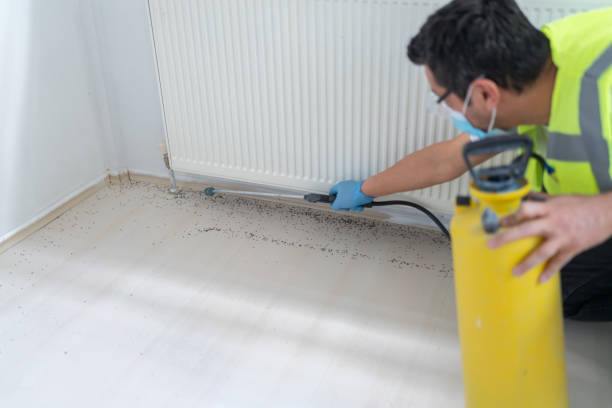 Best Ant Control Services  in Heidelberg, PA