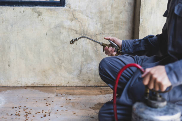 Pest Control Cost in Heidelberg, PA
