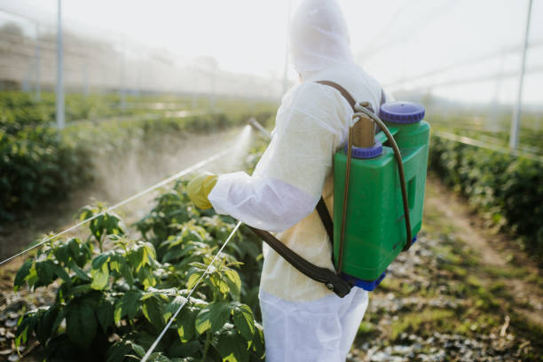 Reliable Heidelberg, PA Pest Control Solutions